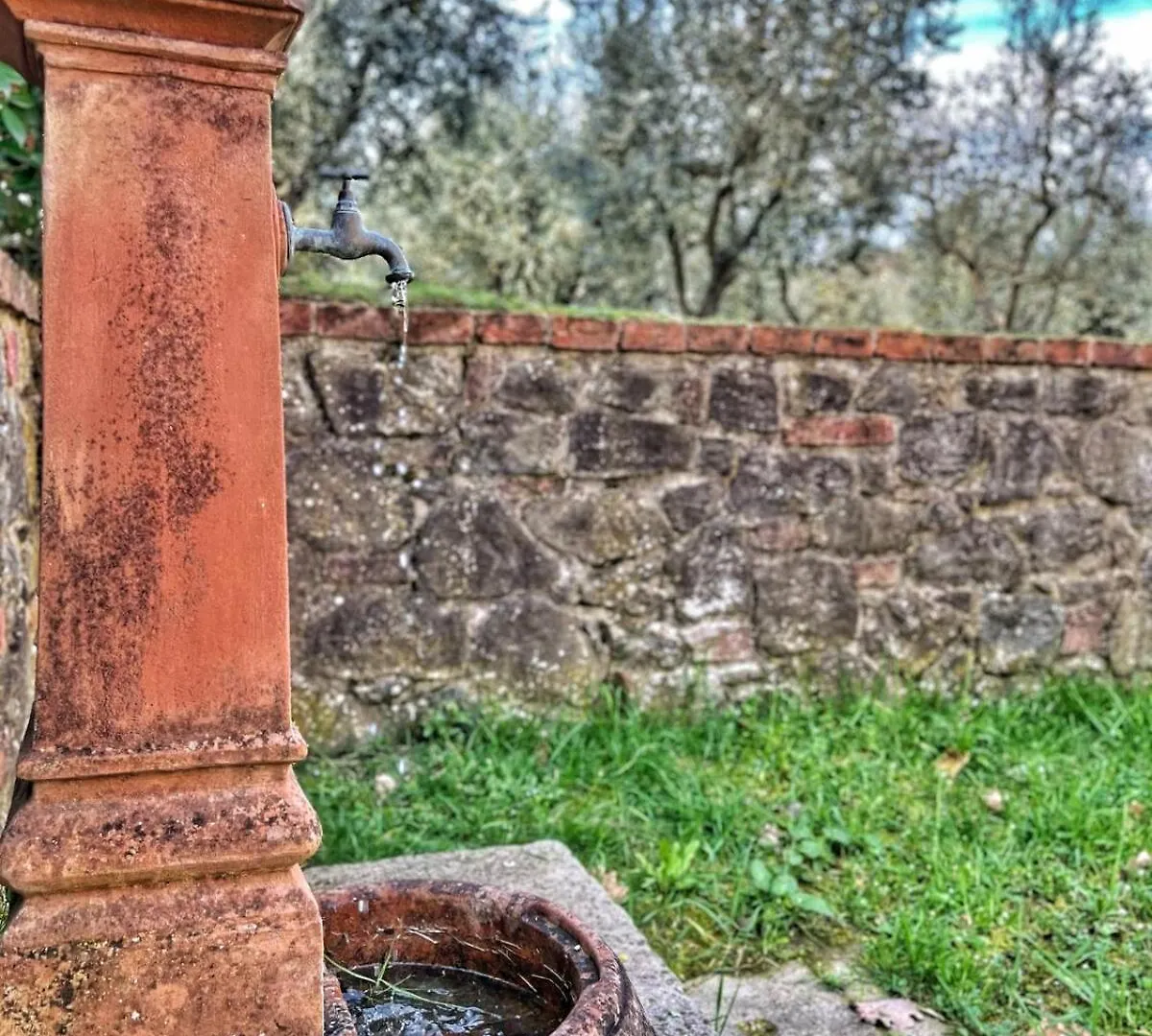 Casa Degli Ulivi Villa Monte San Savino